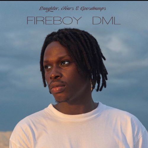 download Fireboy DML - Laughter, Tears & Goosebumps (Album)