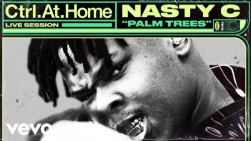 Nasty C – Palm Trees (Live Session) [VIDEO]